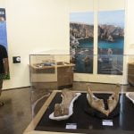 New ‘Fossils on Your Public Lands’ exhibit opens at Western Science Center