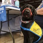 2022 Veterans Expo in Murrieta draws hundreds of local veterans