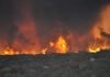Fairview Fire flames lick mountains in the Anza area