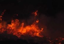 SBA offers disaster assistance to California businesses and residents affected by the Fairview Fire