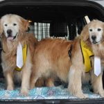 Mayor Max’s co-mayors visit Anza