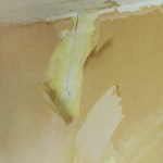 How to spot mold in a home
