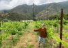 Santa Margarita Ecological Reserve celebrates third year of harvest from experimental vineyard