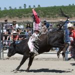 Way Out West fundraiser benefits local nonprofit