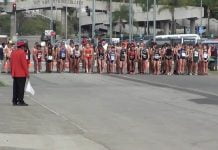 Four Wildcat harriers medal at San Diego meet