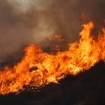 Rabbit Fire: UPDATE 7/19/23