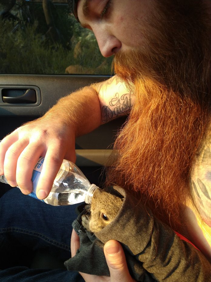 Rowdy and the rabbit