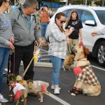 Touch of Fall adds to the Menifee Fall Festival fun