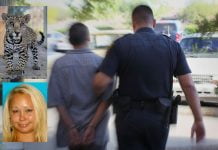 Murrieta man among 2 charged with trafficking Jaguar cub
