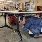 MSJC Shakeout