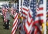 Murrieta Field of Honor flies a sea of flags to commend veterans, first responders and heroes
