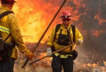 2022: A memorable year in review through photos