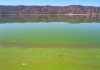Algae harvester plan coming to Lake Elsinore in the near future