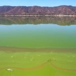 Algae harvester plan coming to Lake Elsinore in the near future