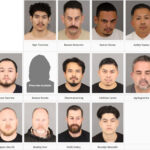 Fourteen people arrested in Riverside County prostitution sting