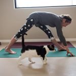 Ways pets can make New Year’s goals stick