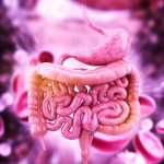 The digestive tract: Everything you eat or drink has an impact