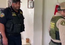 VIDEO: Man suspected of hurling dog over fence, abandoning him, arrested