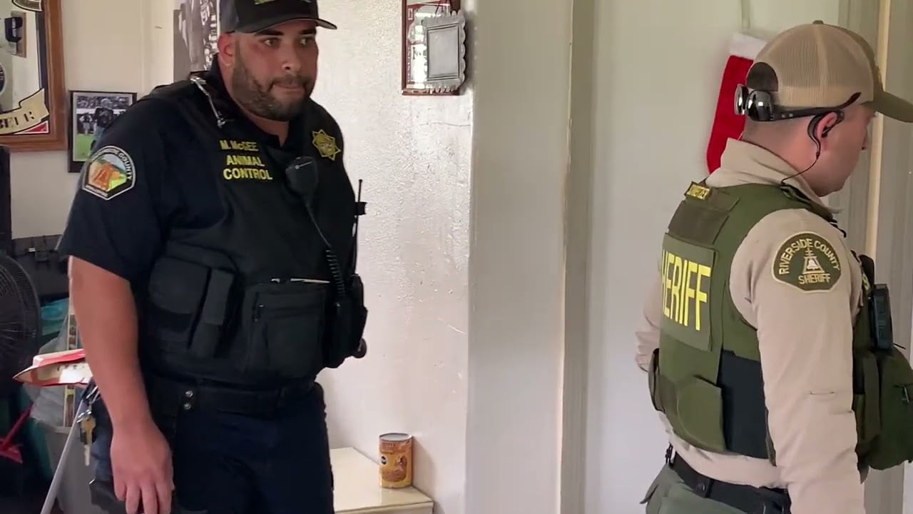 VIDEO Man suspected of hurling dog over fence, abandoning him