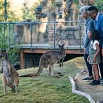 San Diego Zoo Safari Park to host older adults free this February