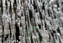 Anza Valley resident shares unique ice photos