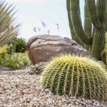 EMWD offers programs to transform your garden into a beautiful and water efficient space