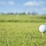 Grandfathers for Golf to host memorial tournament Golf ball and tee