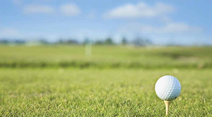 Saving the “S” fundraiser nets over $9,000 Golf ball and tee