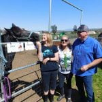 STAT Horse Sanctuary draws hundreds to St. Patrick’s Day Open House in Winchester