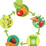 Volunteers needed for recycling classes and events Composting