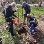 Through My Garden Gate: How to plant a tree made easy