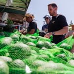 Fallbrook Avocado Festival brings thousands to the friendly village