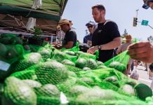 Fallbrook Avocado Festival brings thousands to the friendly village
