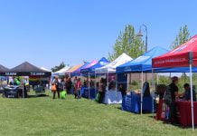 Enjoy live music, food, more at Menifee’s 15th birthday celebration