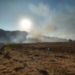 Blaze Burns Outbuilding, Field in Winchester