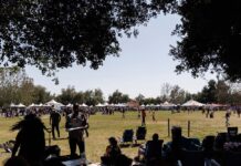 Park district approves 5-year agreement for Temecula Valley Balloon and Wine Festival to use Lake Skinner