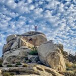 Local nonprofits celebrate summer solstice