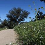 TNEF at the Santa Rosa Plateau continues its 15th anniversary celebration through November