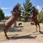 Anza Valley Chamber of Commerce announces installation of rearing stallion statues