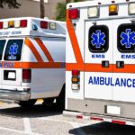 Pedestrian killed in homeland