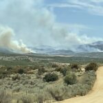 Aguanga: Blaze near San Bernardino National Forest Scorches About Four Acres