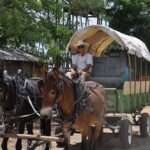 First annual Hamilton Museum Founders Day success despite Bonny Fire evacuations