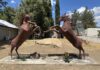 Anza Valley Chamber of Commerce installs rearing horse statues in downtown Anza