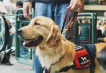 SAGE Society to host service dog presentation