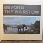 Western Science Center’s first PaleoCon stirs interest of many scientists and students from across the nation