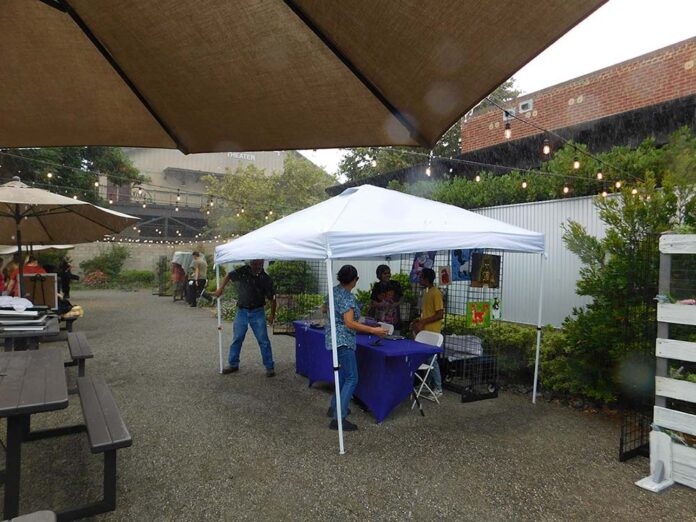 09-08-23-ENT-Dorland Art exhibit-TAphotos-023