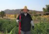 Soboba Tribal member becomes certified Master Gardener