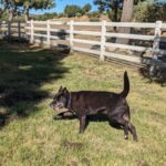 09-15-23-LOCAL-Animal of the Week-2