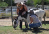 Doug the Donkey star of the day at Sanctuary Stables’ play day party