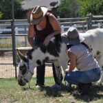 Doug the Donkey star of the day at Sanctuary Stables’ play day party